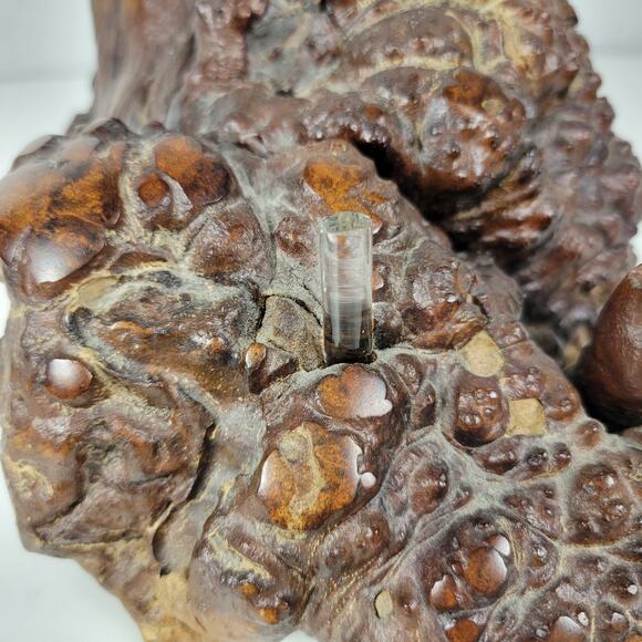 Vintage Oil Candle Lamp Burl Root Designs Glass Lantern Wood Base MCM Retro - Picture 6 of 16